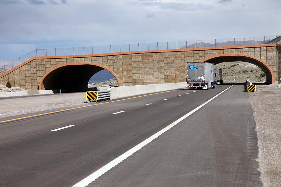 Foster Sustainability - Pedestrian Overpass