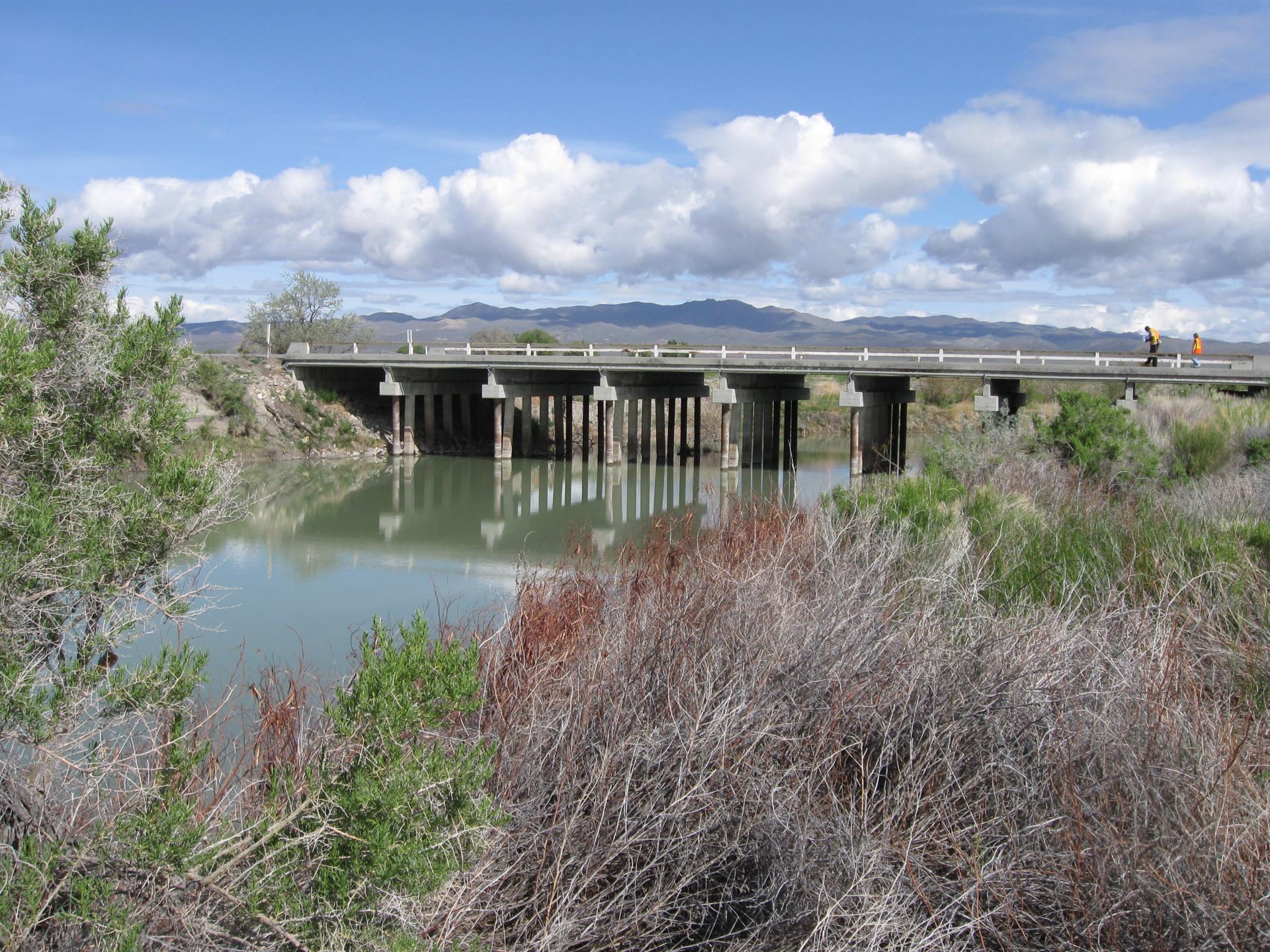 A bridge over small body of water and purple plants