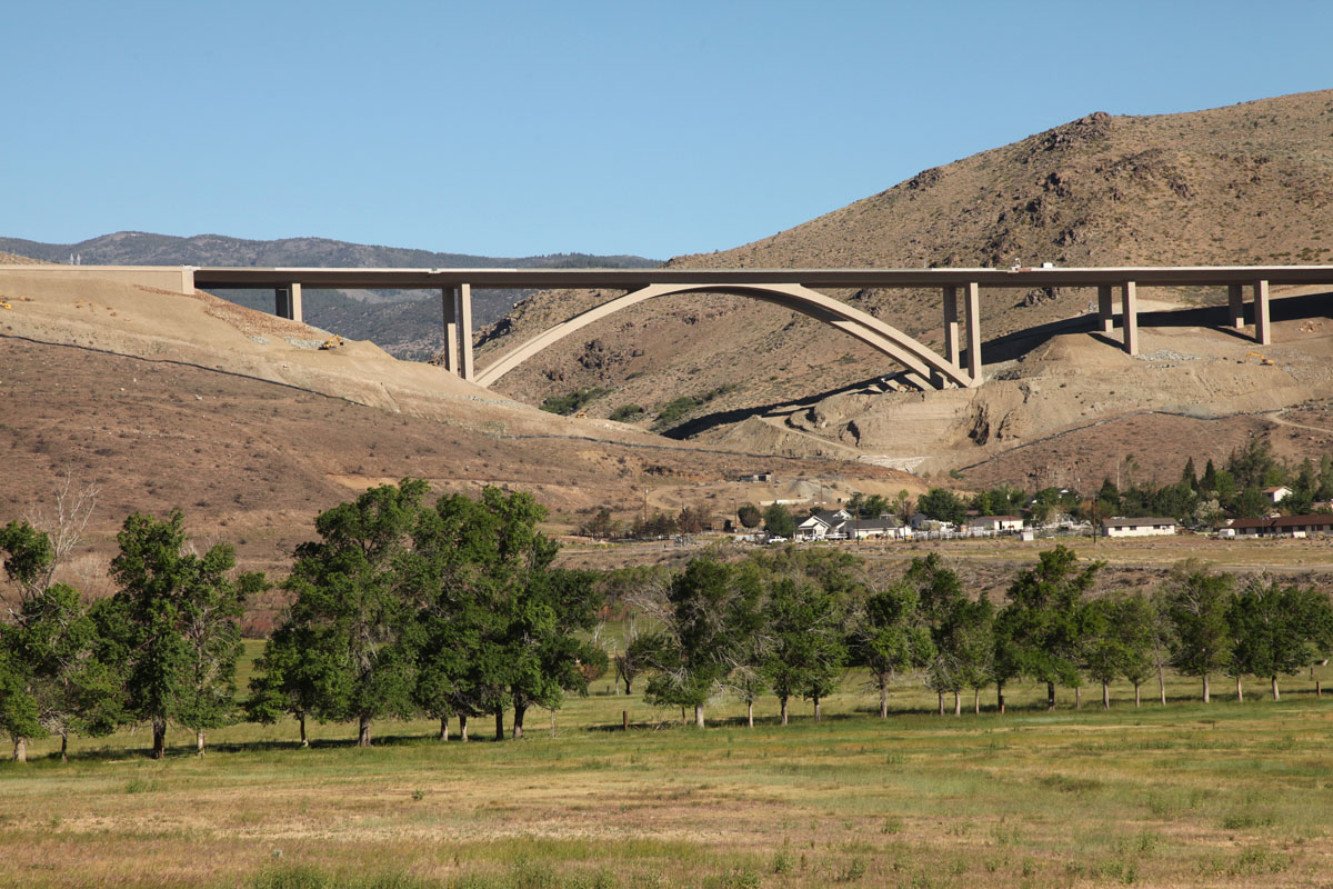 Pasture and trees in front of large bridge